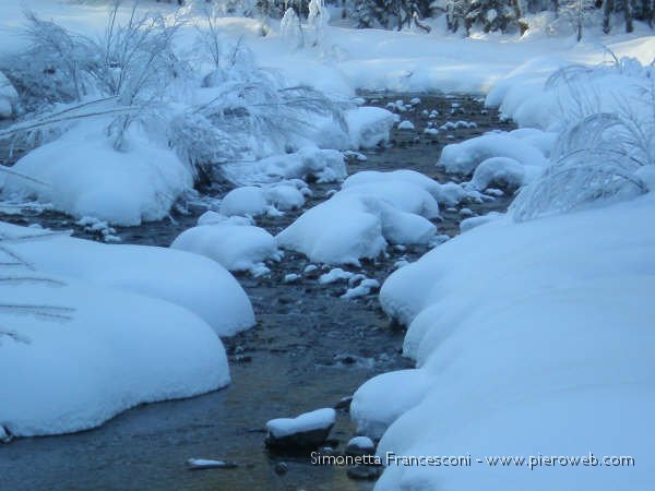 RUSCELLO DI MONTAGNA CON NEVE.jpg